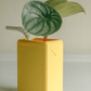 The Juicebox Planter