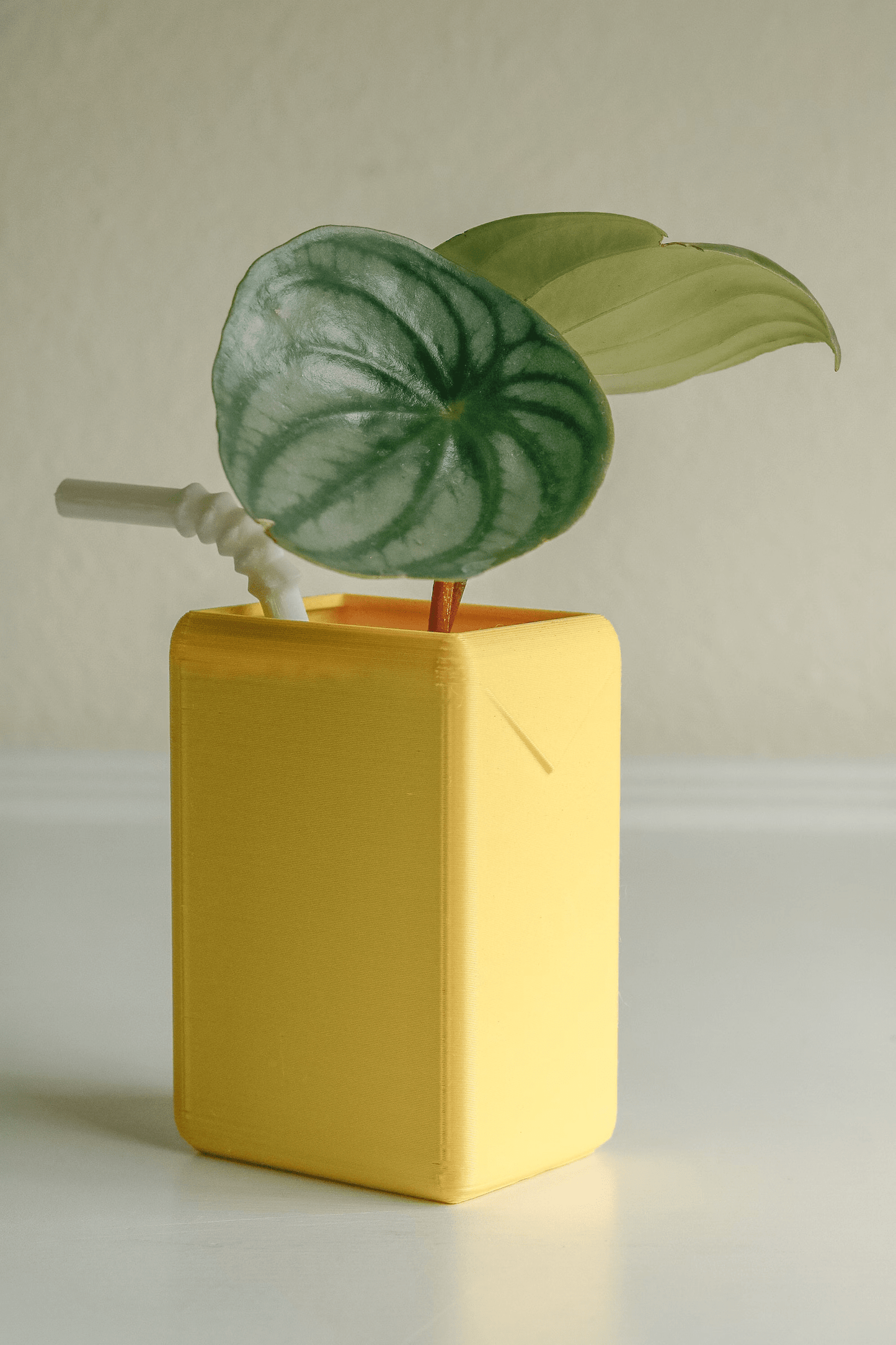 The Juicebox Planter