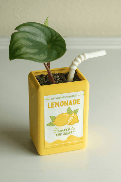 The Juicebox Planter