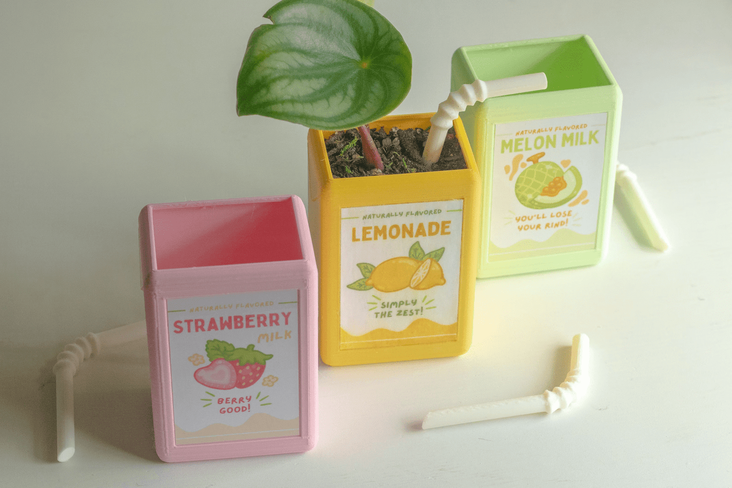 The Juicebox Planter