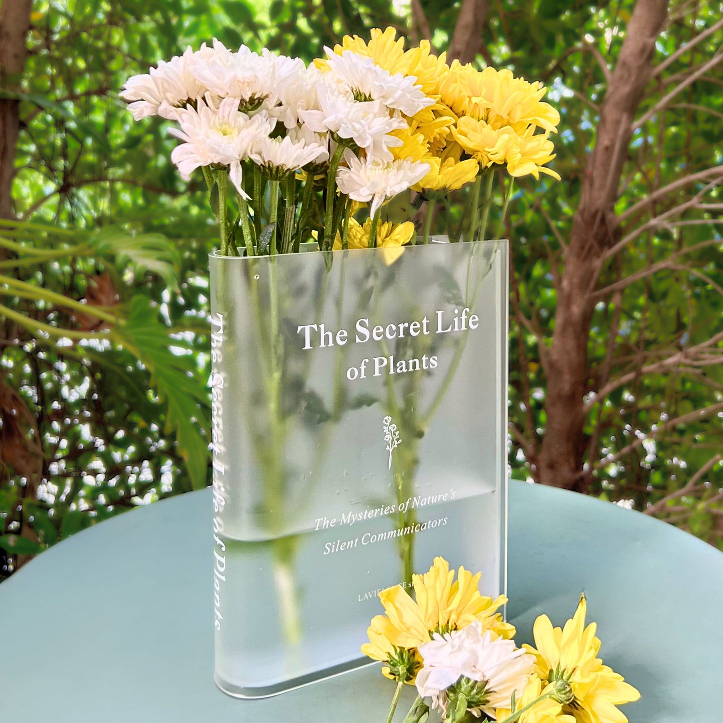 BloomsBound™ - Acrylic Book Vase