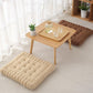 Biscuit Cushion