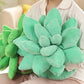 Plants Plush Stuffed Toys