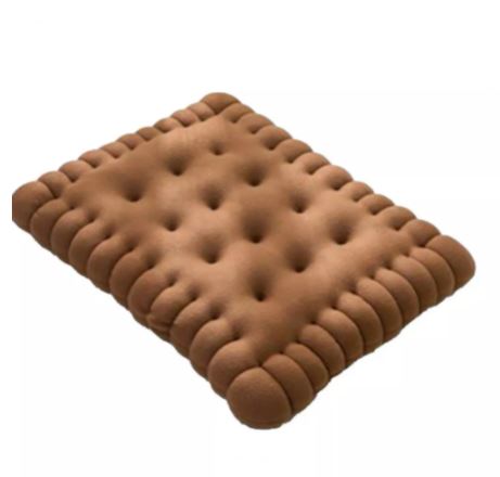 Biscuit Cushion